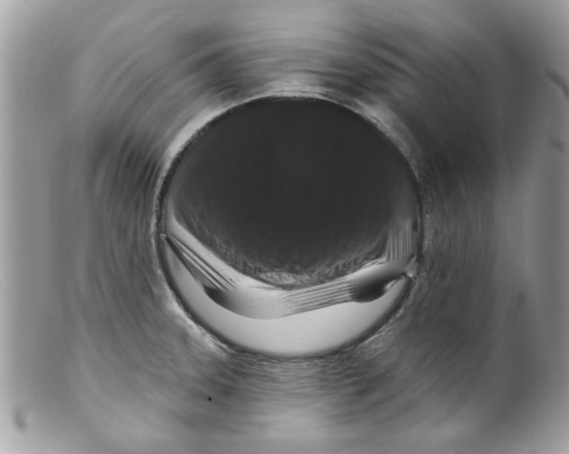 X0000098151331200805151155