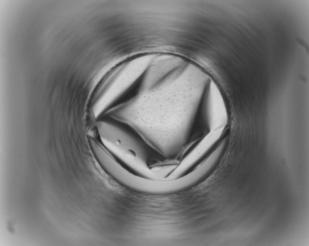 X0000098151332200805151155