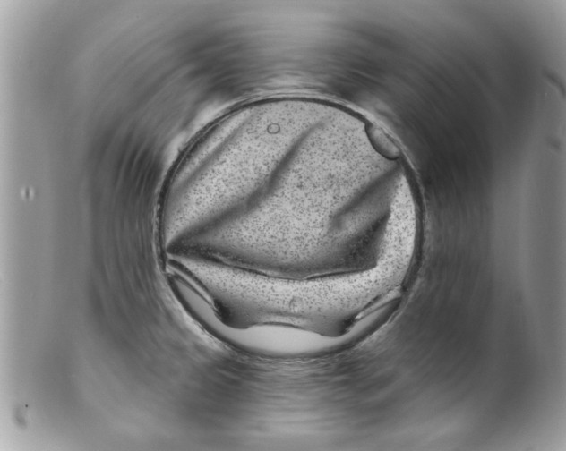 X0000098151333200805151155