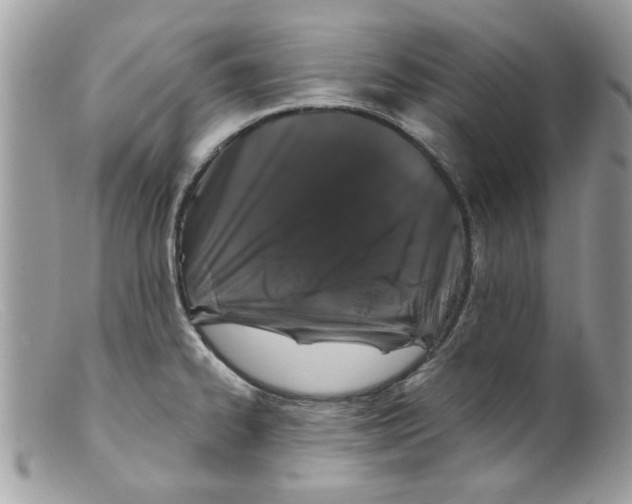 X0000098151334200805151155