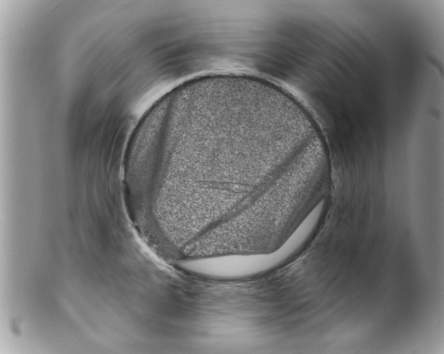 X0000098151335200805151155