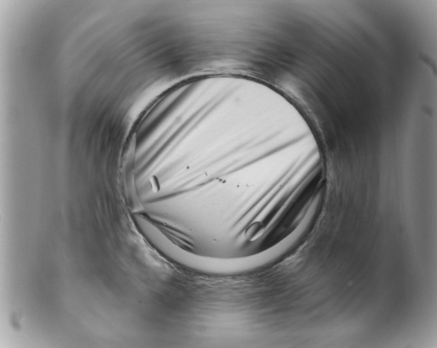 X0000098151336200805151155