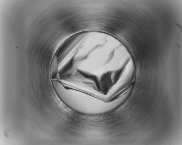 X0000098151340200805151155