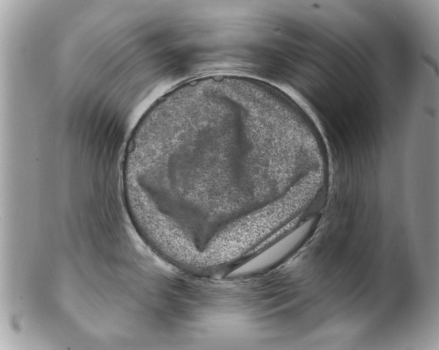 X0000098151341200805151155