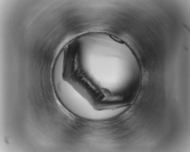 X0000098151342200805151155