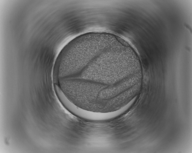 X0000098151343200805151155