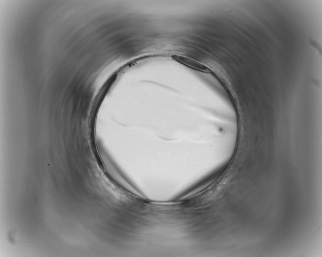X0000098151344200805151156