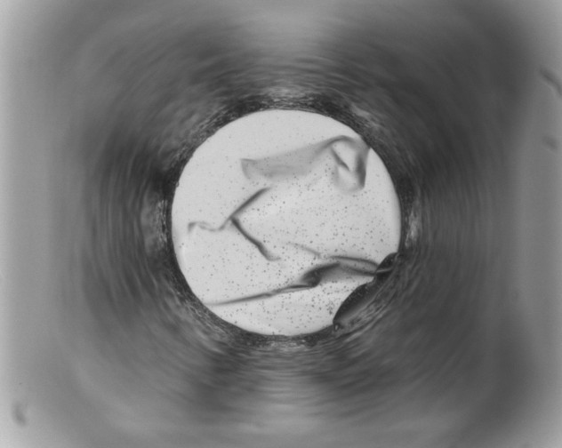 X0000098151346200805151155