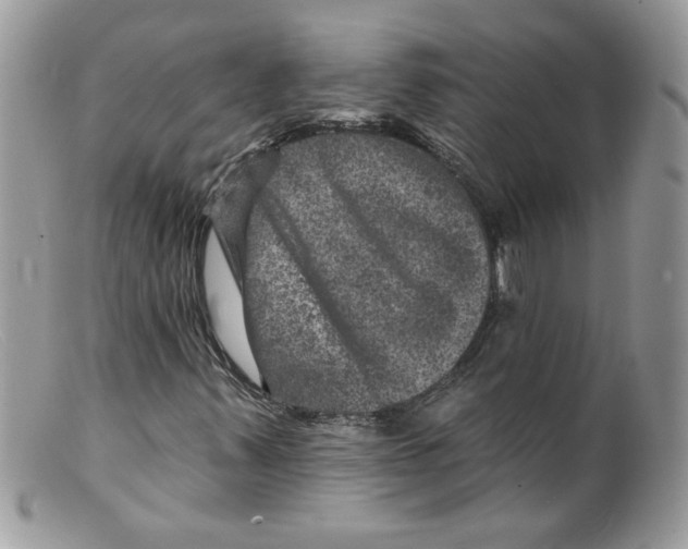 X0000098151347200805151155