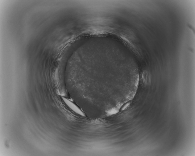 X0000098151348200805151155