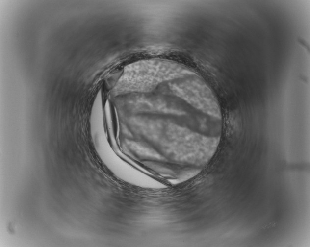 X0000098151349200805151155