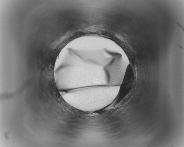 X0000098151350200805151154
