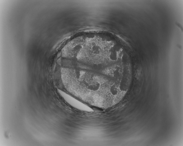 X0000098151351200805151154