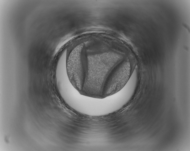 X0000098151352200805151154