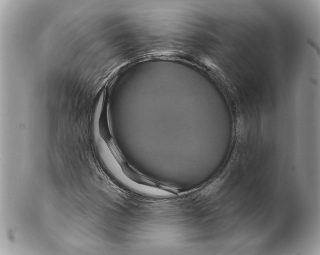 X0000098151353200805151154