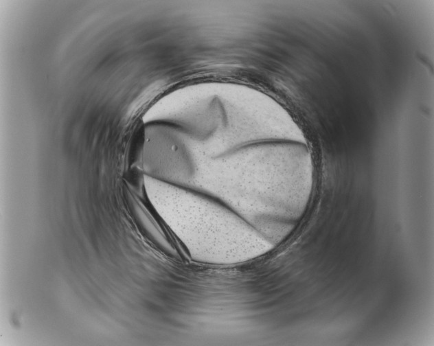 X0000098151354200805151154