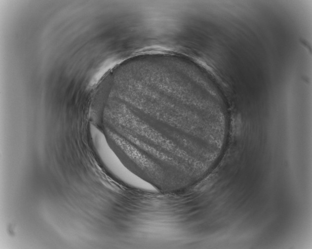 X0000098151355200805151154