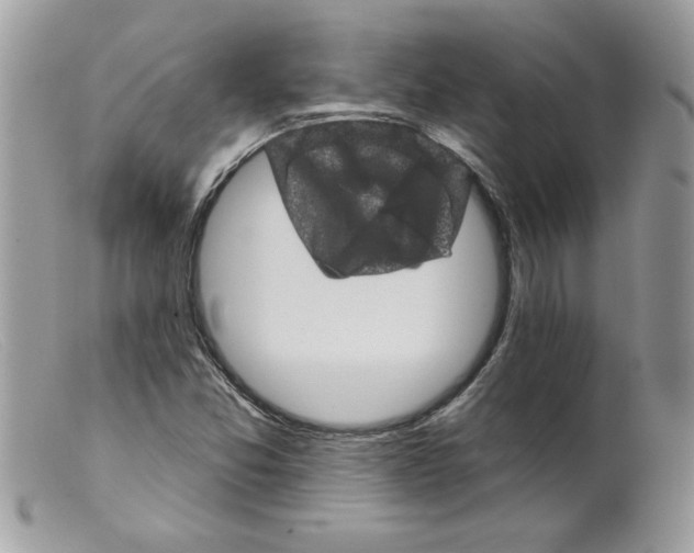 X0000098151357200805151154