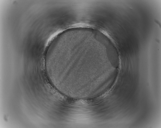 X0000098151358200805151154