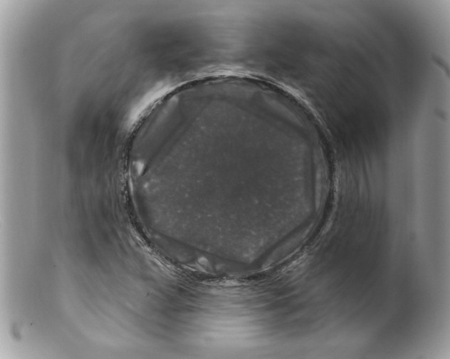 X0000098151359200805151154