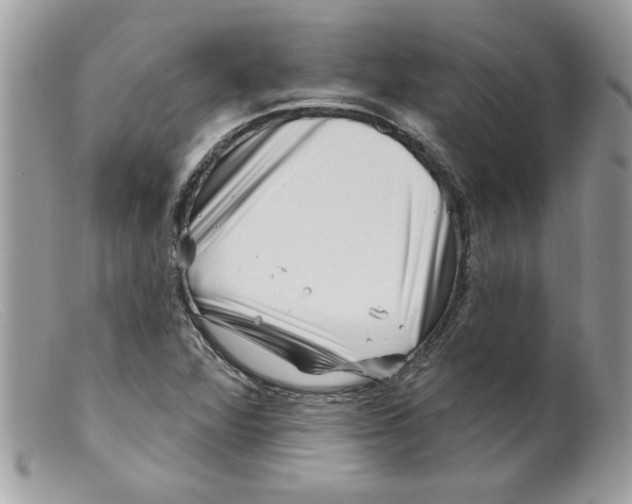 X0000098151360200805151154