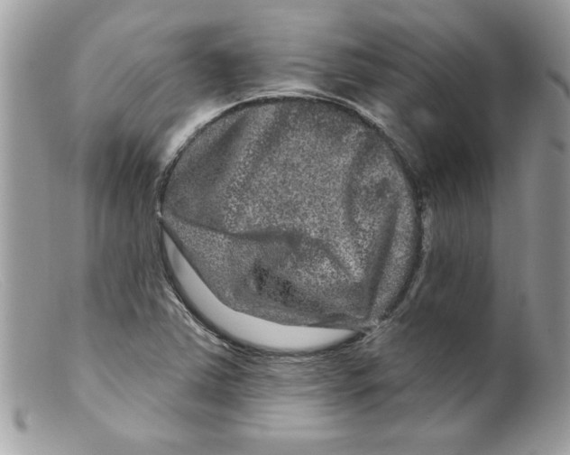 X0000098151363200805151154
