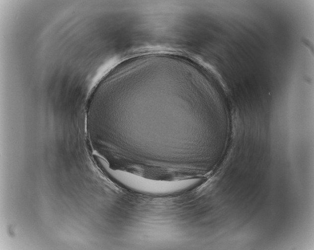 X0000098151365200805151154