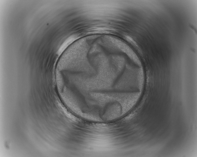 X0000098151370200805151154