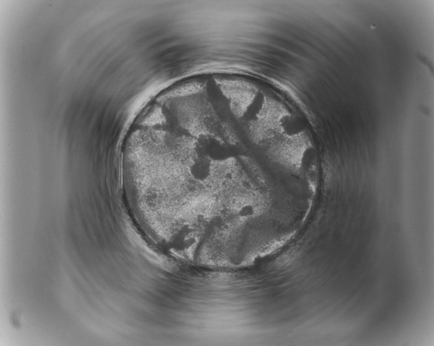 X0000098151371200805151154