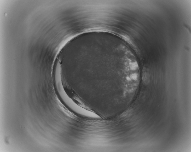 X0000098151372200805151154