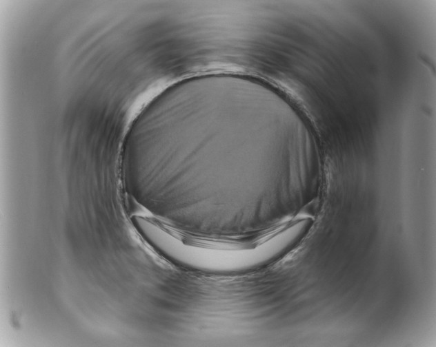 X0000098151373200805151154