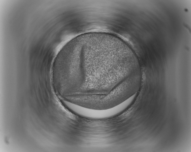 X0000098151375200805151154