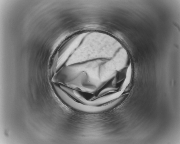 X0000098151376200805151154