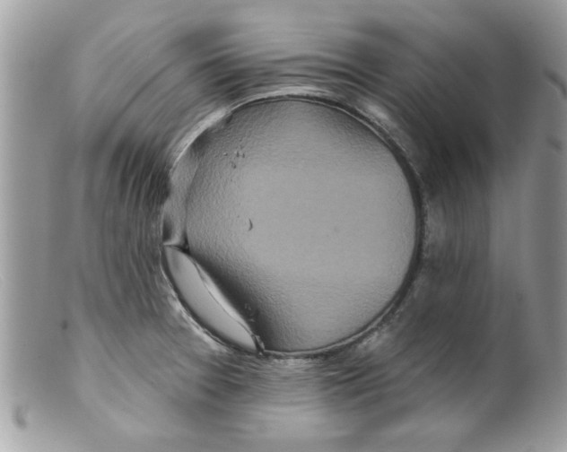 X0000098151377200805151154