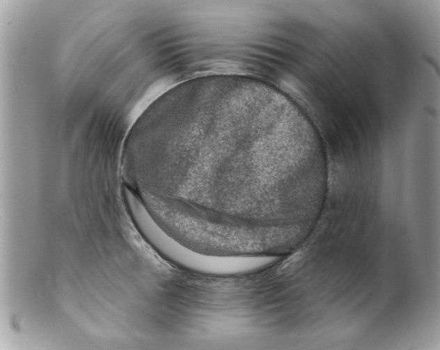 X0000098151378200805151154