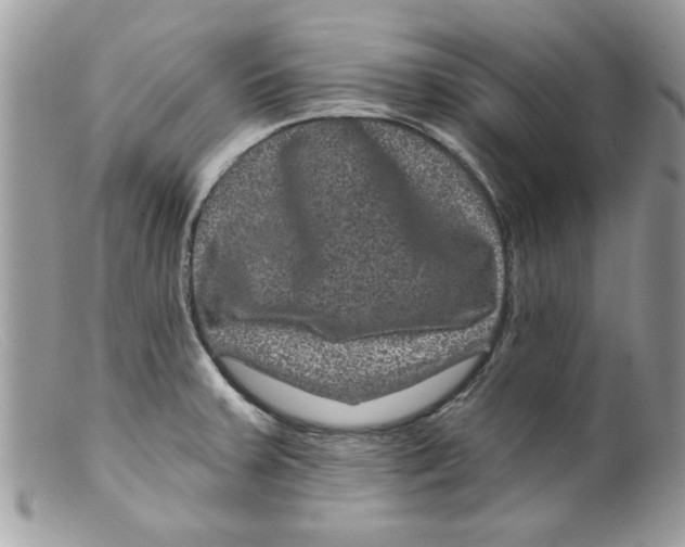 X0000098151379200805151154