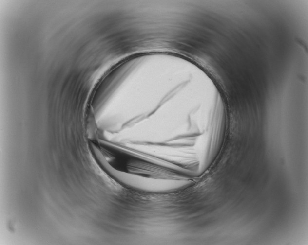 X0000098151380200805151154