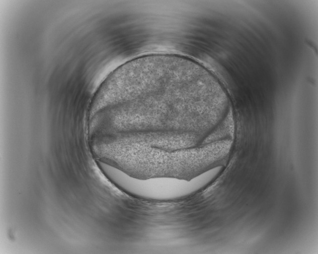X0000098151382200805151154
