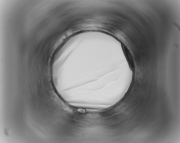 X0000098151384200805151154