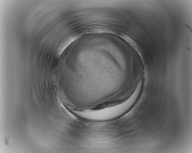 X0000098151385200805151154