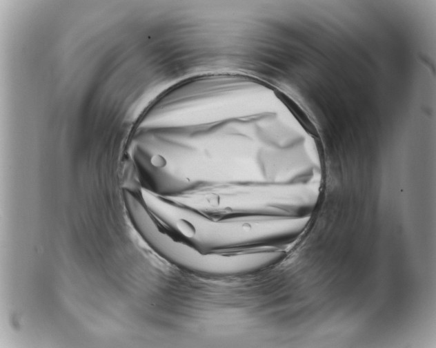 X0000098151388200805151154