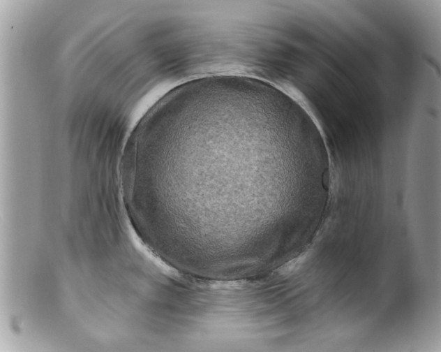 X0000098151389200805151154