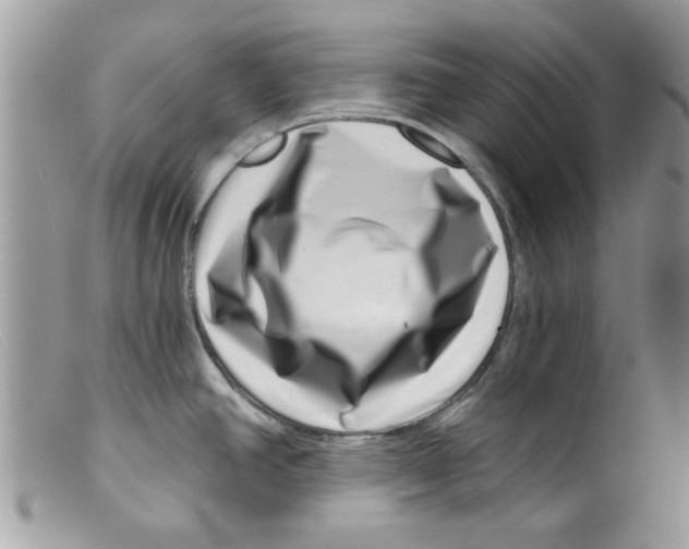 X0000098151390200805151154