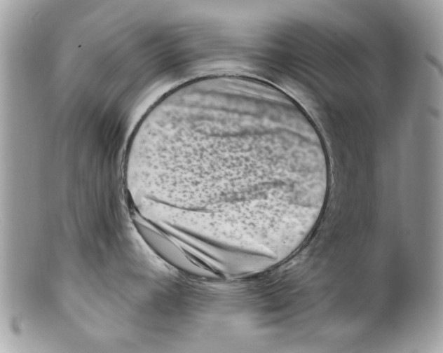 X0000098151392200805151154