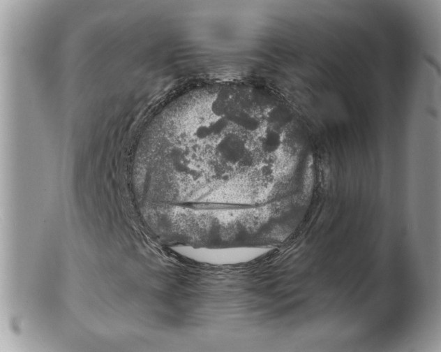 X0000098151393200805151153