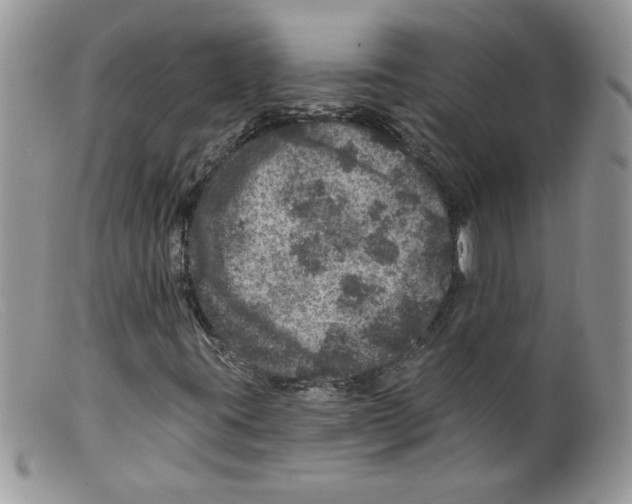 X0000098151395200805151153