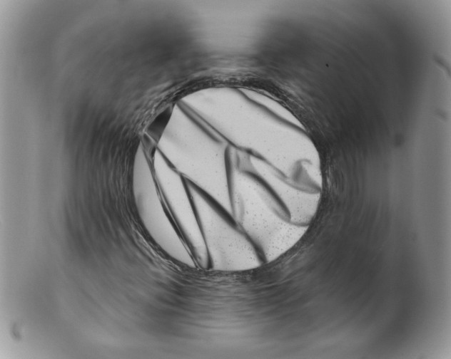 X0000098151396200805151153