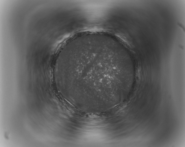 X0000098151398200805151153