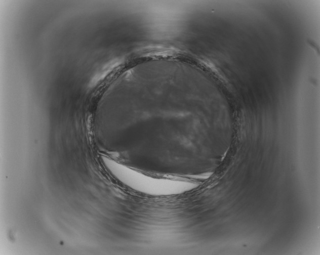 X0000098151399200805151153