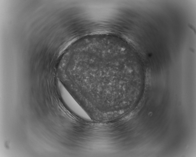 X0000098151401200805151153